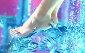 پدیکور ماهی | فیش اسپا