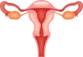 اخبار پزشکی