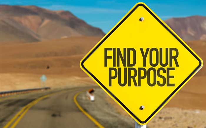 find your purpose