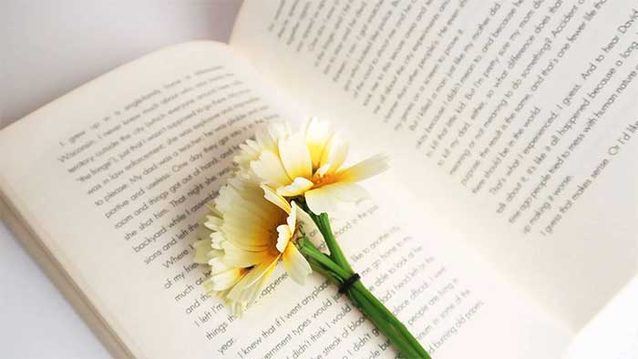 ادبیات book and flower