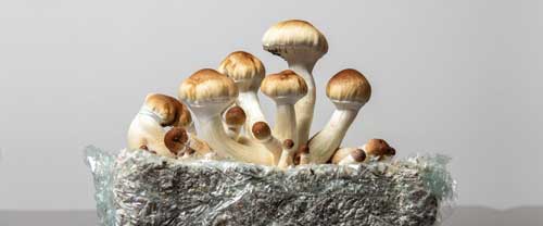 آموزشی | ترفند