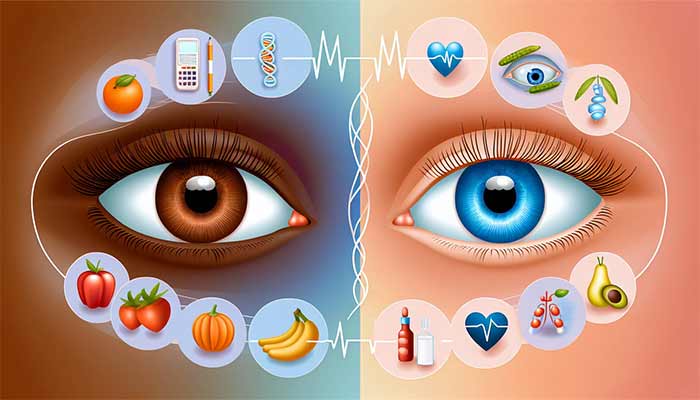 میوه و اثرات آن بر رنگ چشم جنین