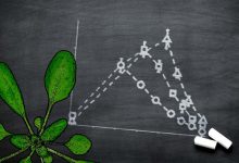 9 کاربرد ریاضی در گیاهان و بهترین ترفند و روشهای استفاده از آن