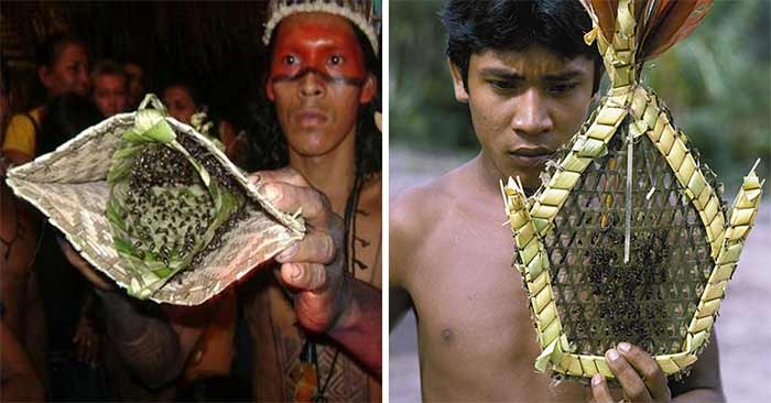 رسم دستکشهای مورچهگلوله